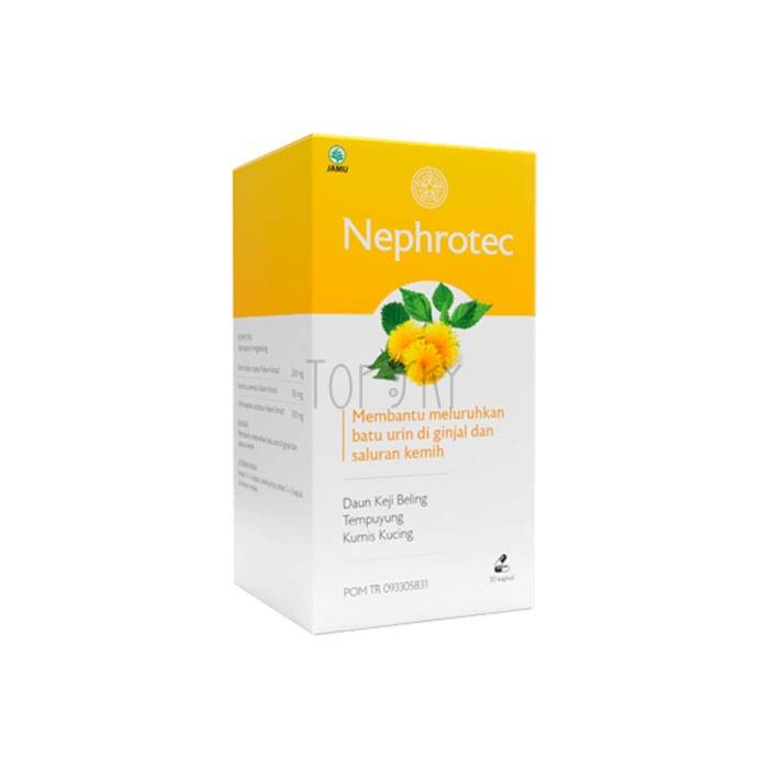 Nephrotec - kidney stone capsules in Purwokerto