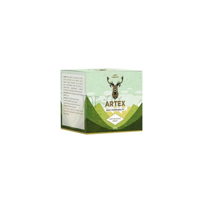 Artex - joint health remedy in Yogyakarta