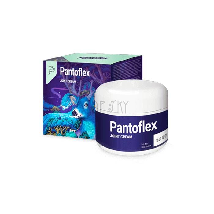 Pantoflex - संयुक्त मलई गुलबर्गा मध्ये